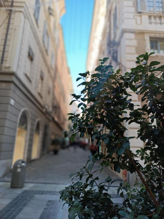 Giulietta Central Loft San Remo Kültér fotó